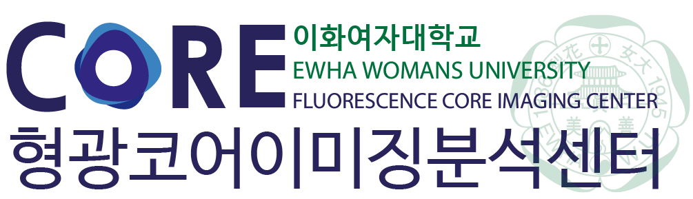 코어
