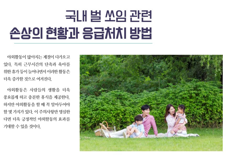 국내 벌쏘임 관련 손상의 현황과 응급처치방법