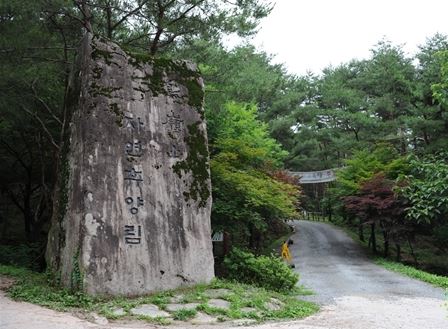 조령산자연휴양림