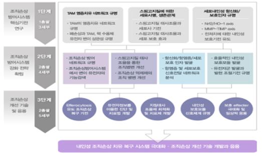 단계별 연구 목표 및 내용