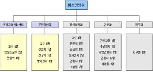 여성암병원 조직도