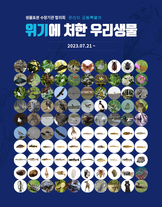‘생물표본 수장기관 협의회 온라인 공동 특별전’ 개최