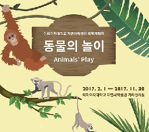 동물의 놀이 Animal's Play 대표 이미지