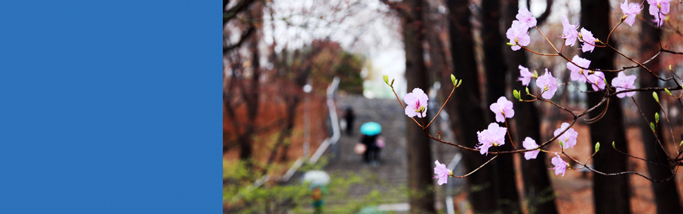 이미지 가져오기