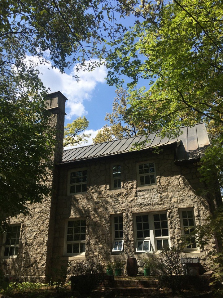 Center in the woods