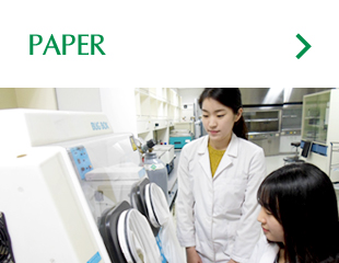 PAPER