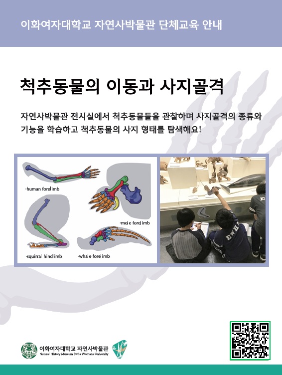 ㄴ