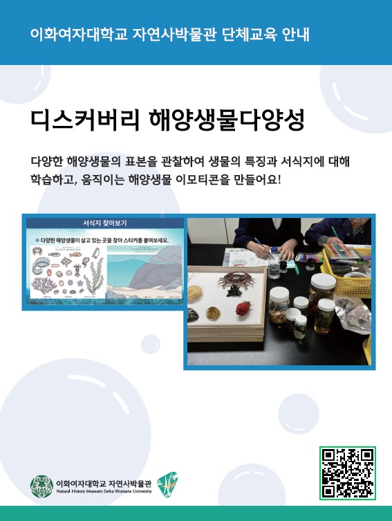 ㄴ
