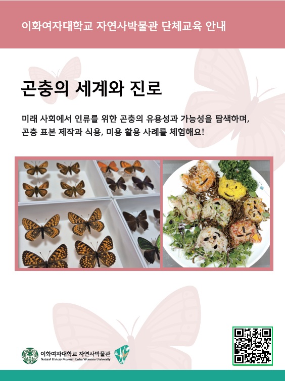 ㄴ
