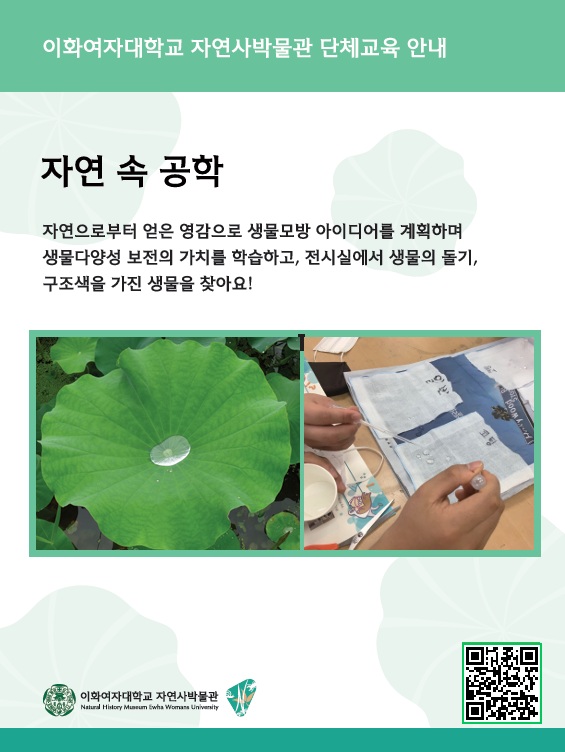 ㄴ