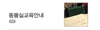 동물실교육안내